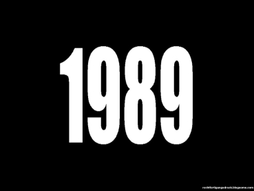 1989 DVD-Set ALLE GP des Jahres in VOLLER ÜBERTRAGUNGSLÄNGE